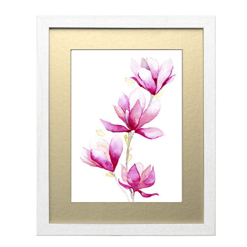 Flores - Magnolia