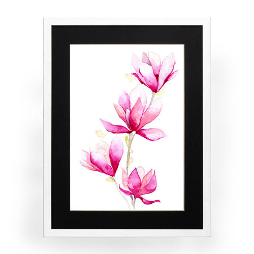 Flores - Magnolia