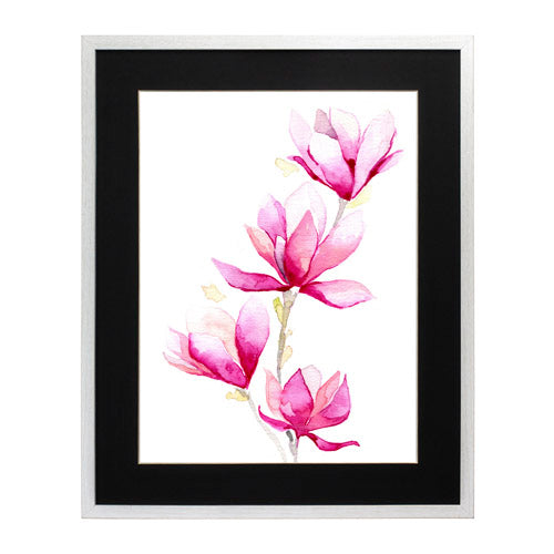 Flores - Magnolia