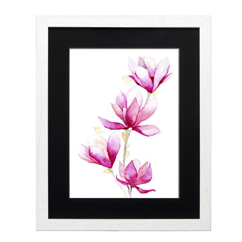 Flores - Magnolia