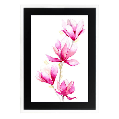 Flores - Magnolia