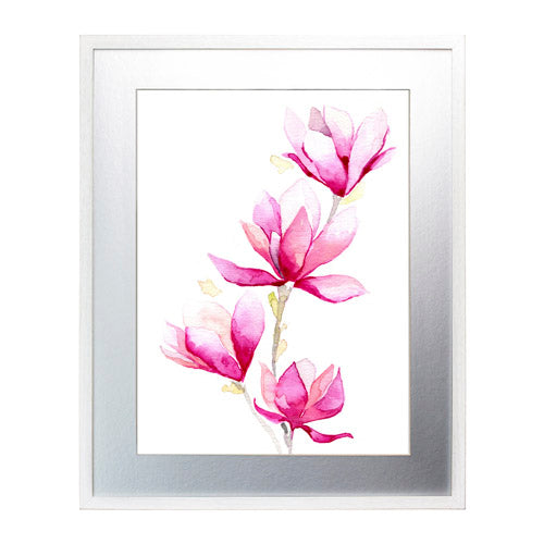 Flores - Magnolia