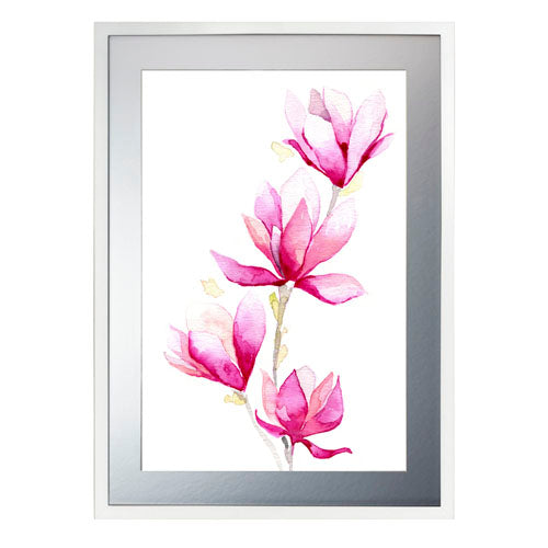 Flores - Magnolia