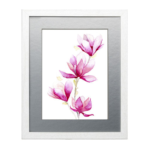 Flores - Magnolia