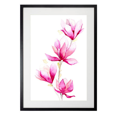 Flores - Magnolia