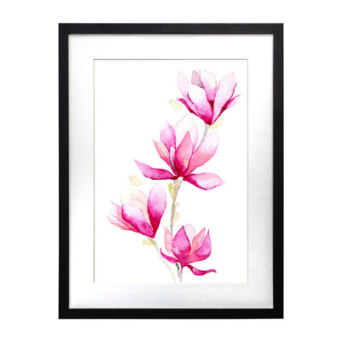 Flores - Magnolia