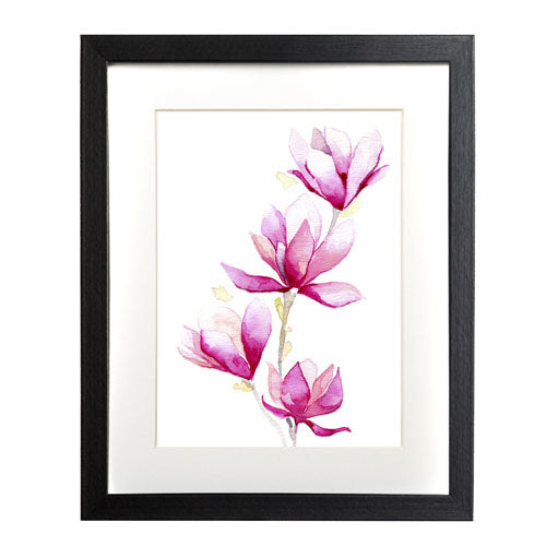 Flores - Magnolia