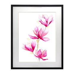 Flores - Magnolia