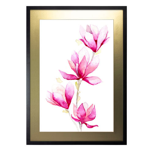 Flores - Magnolia
