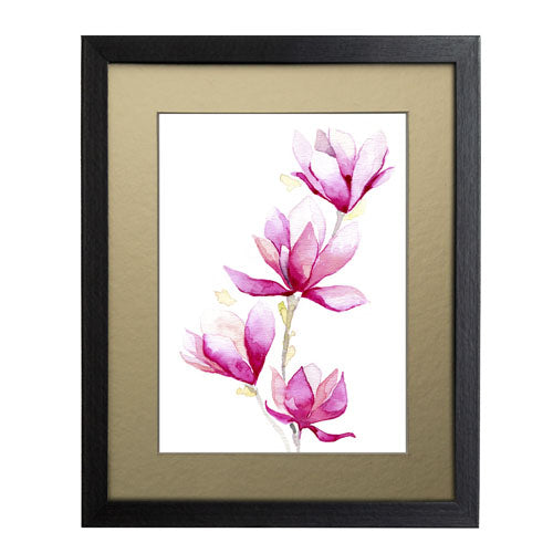 Flores - Magnolia