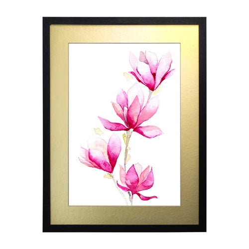 Flores - Magnolia