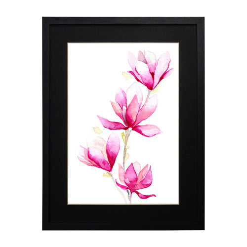 Flores - Magnolia