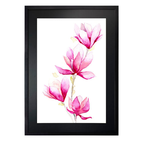 Flores - Magnolia