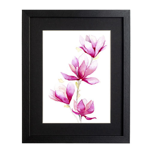 Flores - Magnolia