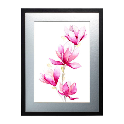 Flores - Magnolia