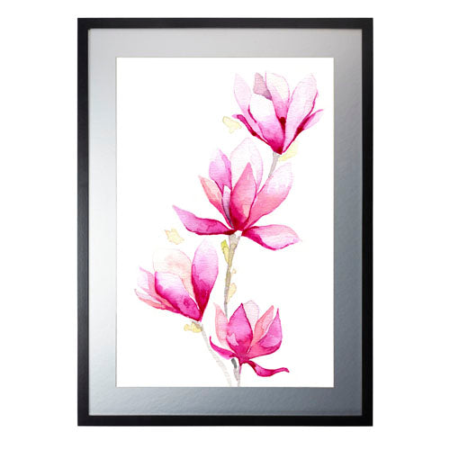 Flores - Magnolia
