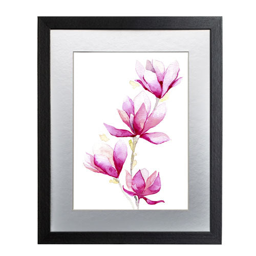 Flores - Magnolia