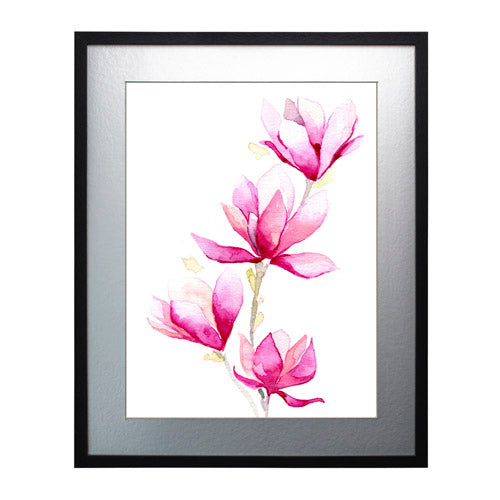 Flores - Magnolia