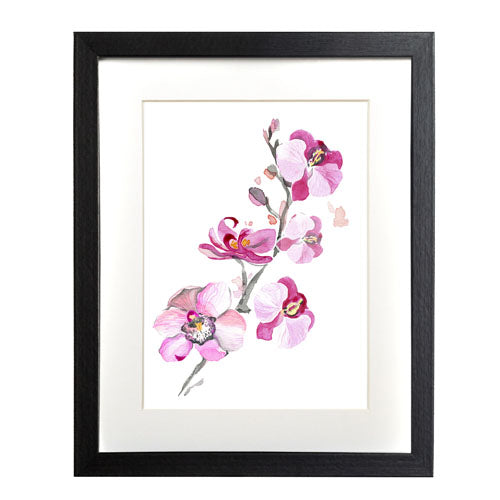 Flores Orquídea