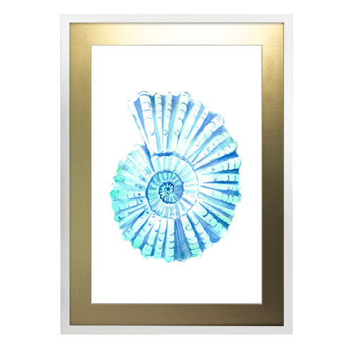 Mar - Concha de Mar 1