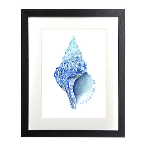 Mar - Concha de Mar 2