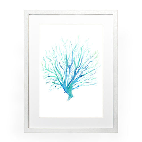 Mar Coral 1