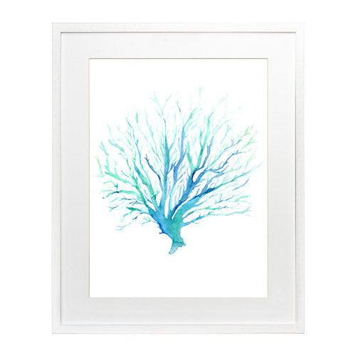 Mar Coral 1