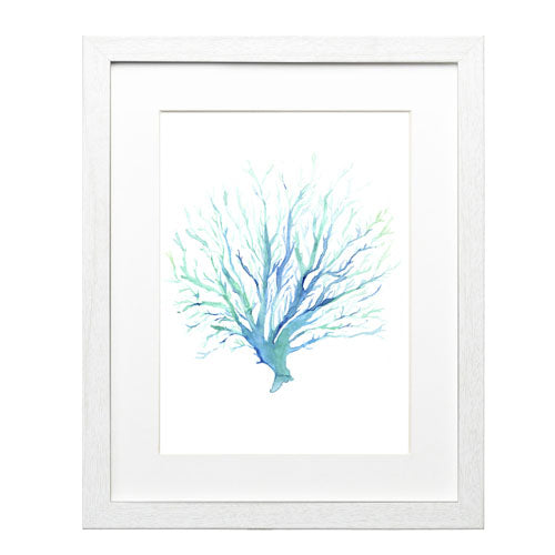 Mar Coral 1