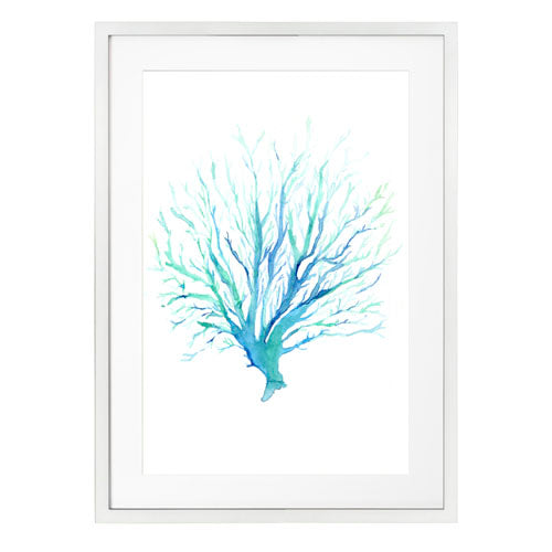 Mar Coral 1