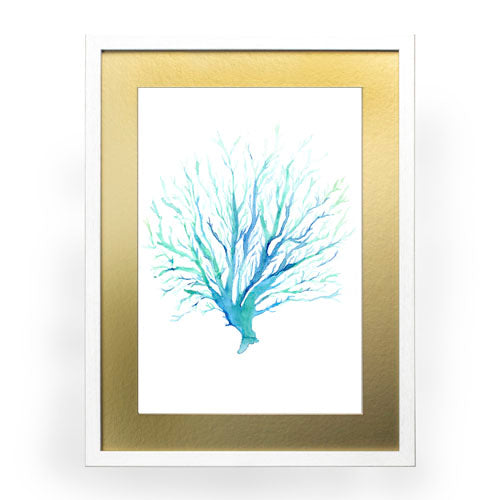 Mar Coral 1