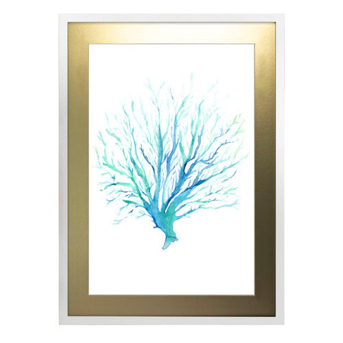Mar Coral 1
