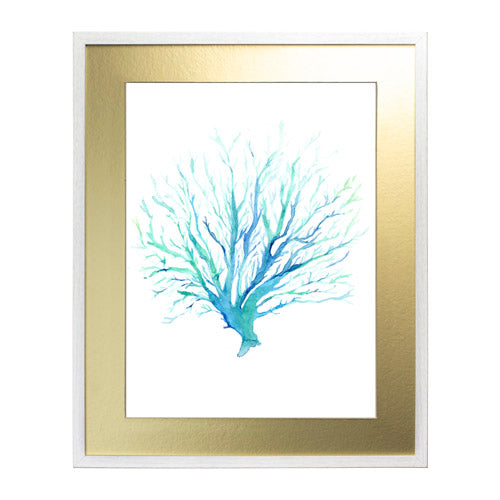 Mar Coral 1