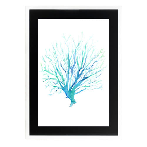 Mar Coral 1