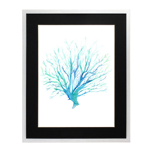 Mar Coral 1