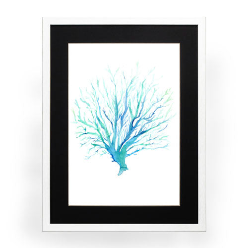 Mar Coral 1