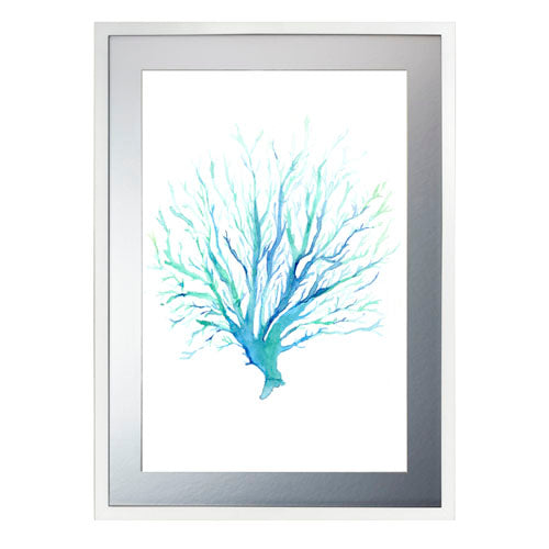 Mar Coral 1