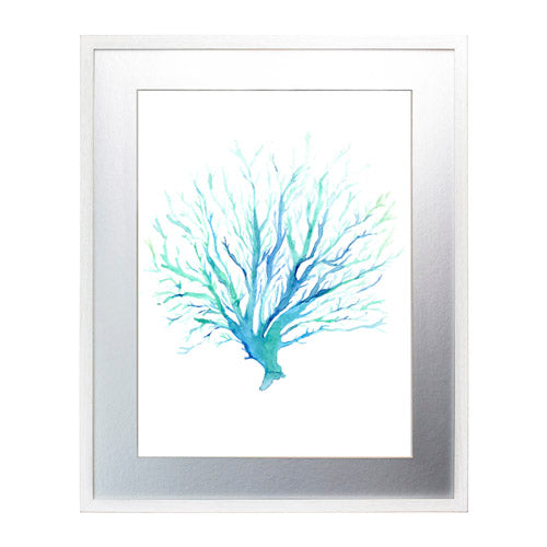 Mar Coral 1