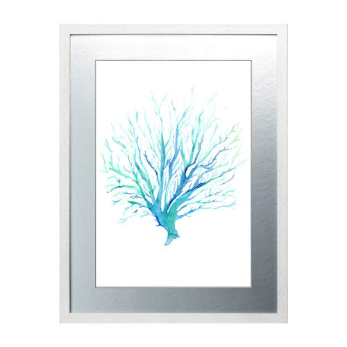 Mar Coral 1