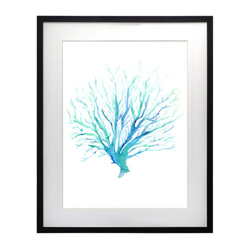 Mar Coral 1