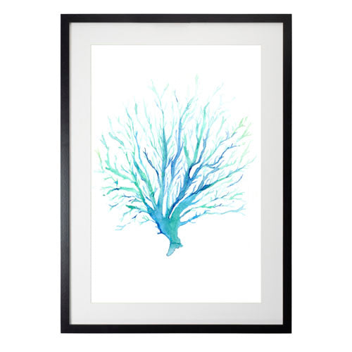 Mar Coral 1