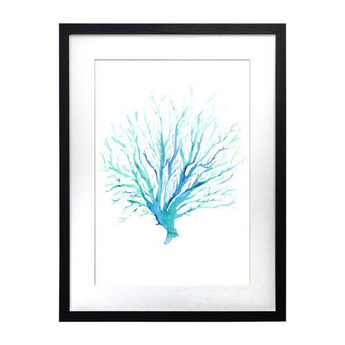 Mar Coral 1