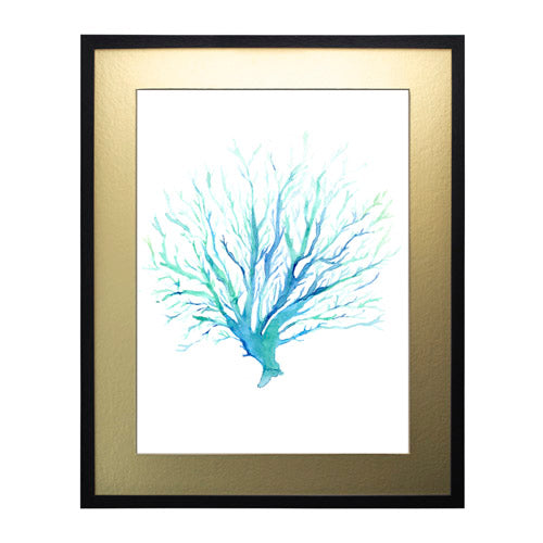 Mar Coral 1