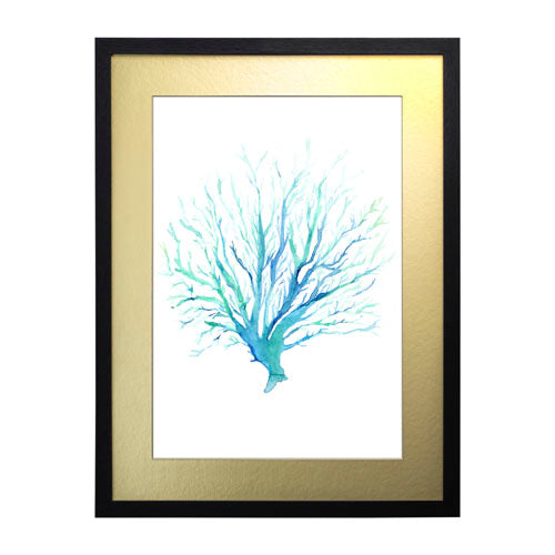 Mar Coral 1