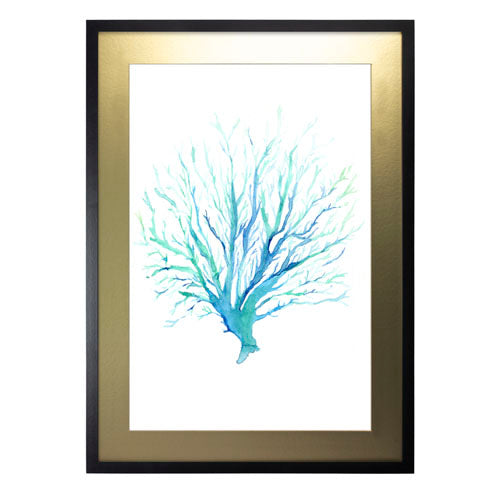 Mar Coral 1