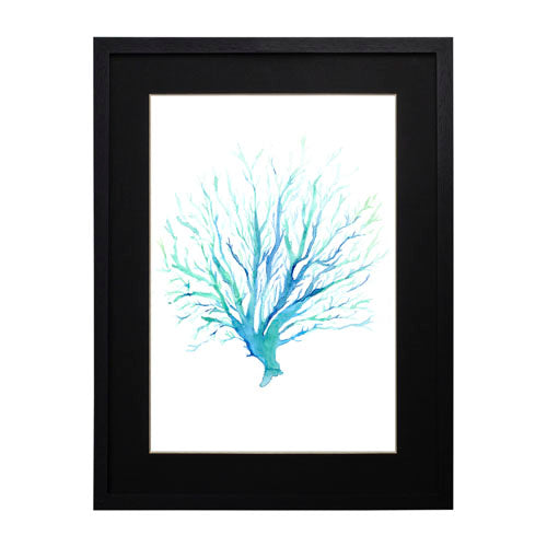 Mar Coral 1