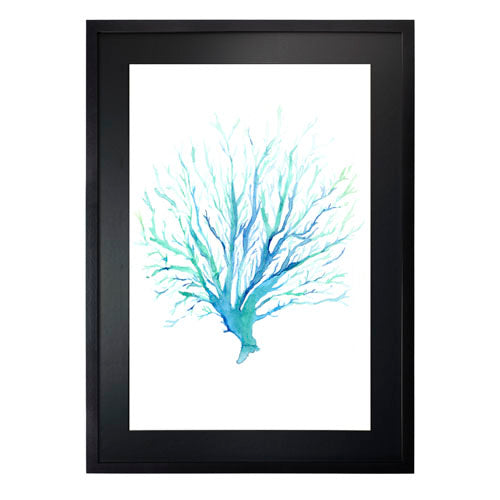 Mar Coral 1
