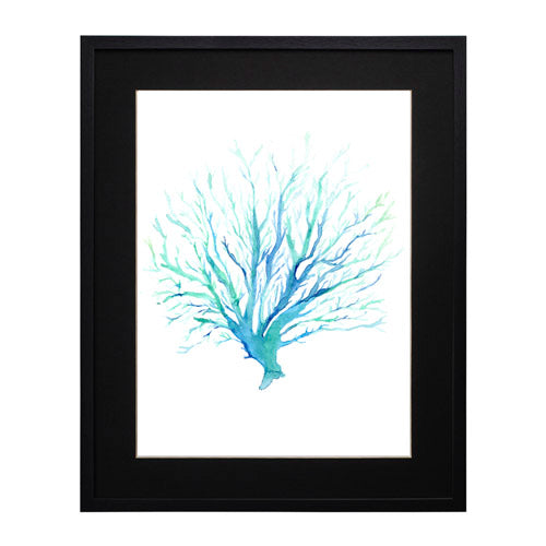 Mar Coral 1