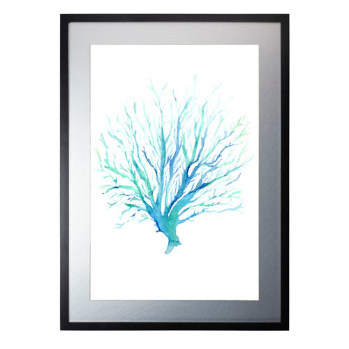 Mar Coral 1