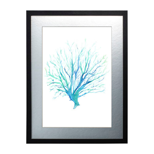Mar Coral 1