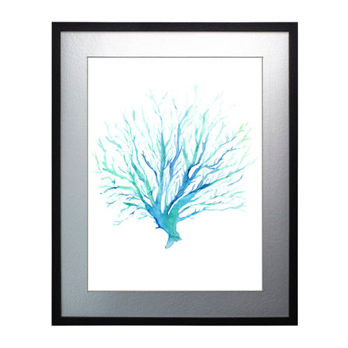 Mar Coral 1